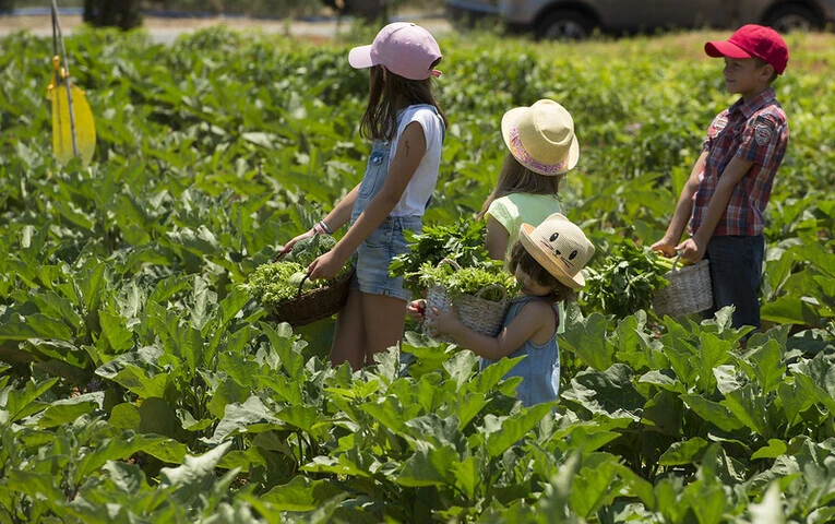 Young Gardeners Costa Navarino