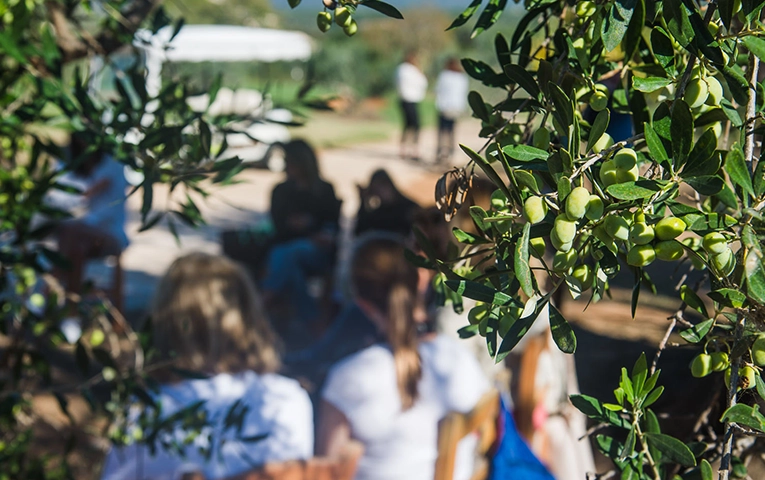 philosophy walk at Costa Navairno